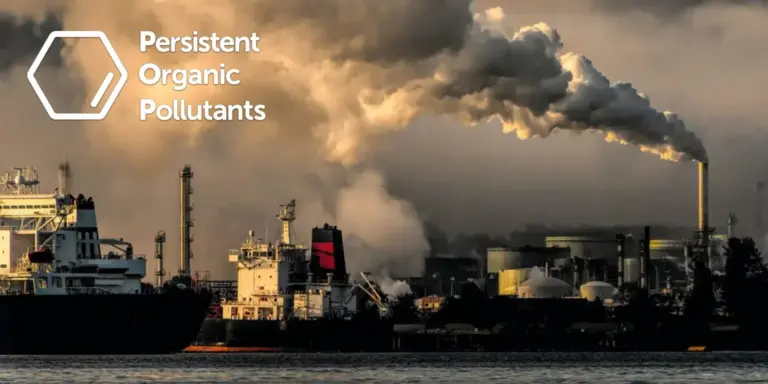 Persistent Organic Pollutants