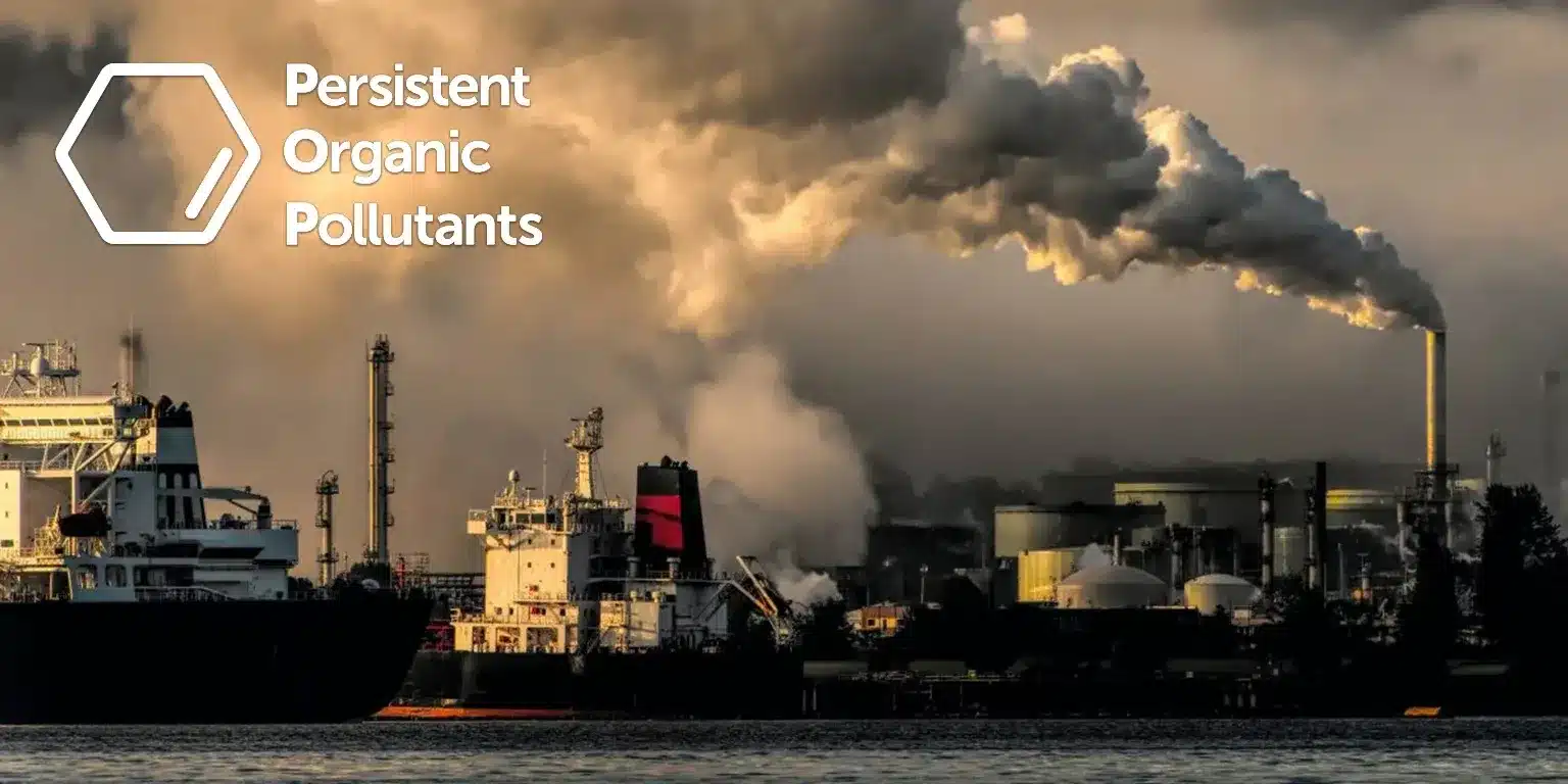 Persistent Organic Pollutants