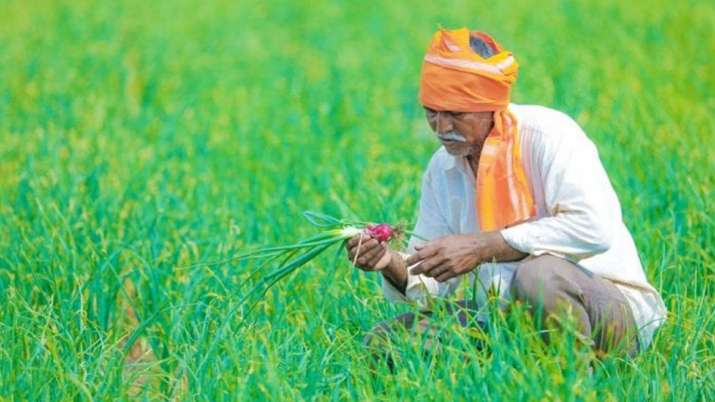 Pradhan Mantri Kisan Samman Nidhi (PM-KISAN) Yojana