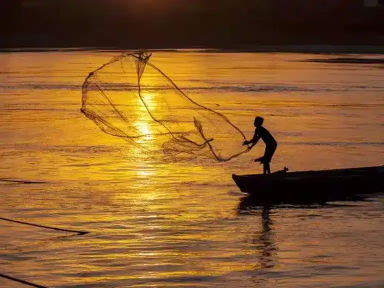 Pradhan Mantri Matsya Kisan Samridhi Sah-Yojana (PM-MKSSY)
