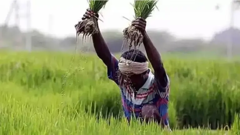 Pradhan Mantri Fasal Bima Yojana (PMFBY) finds more takers