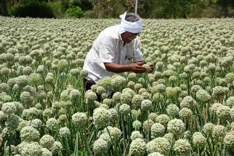 Pradhan Mantri Kisan Sampada Yojana