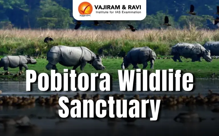 Pobitora Wildlife Sanctuary