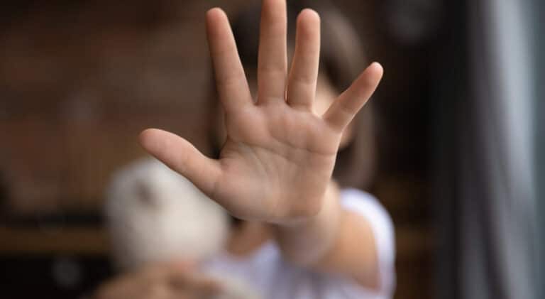 What is the Protection of Children from Sexual Offences (Pocso) Act?