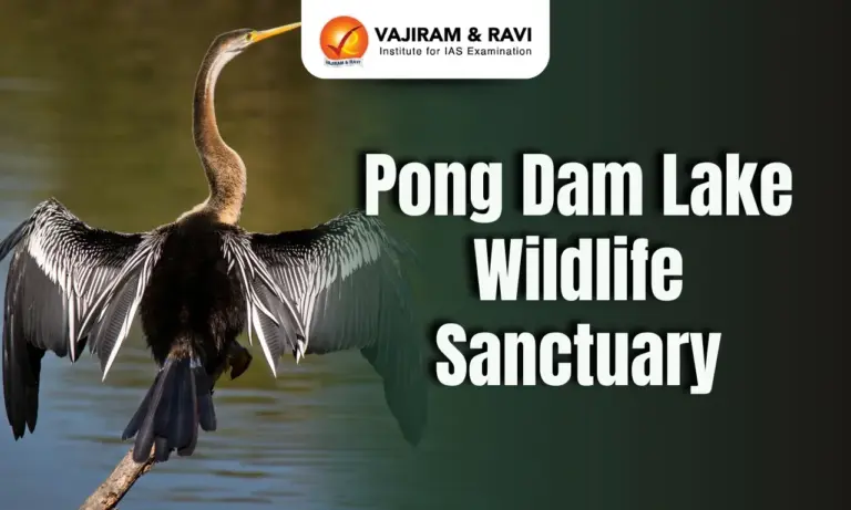 Pong Dam Lake Wildlife Sanctuary