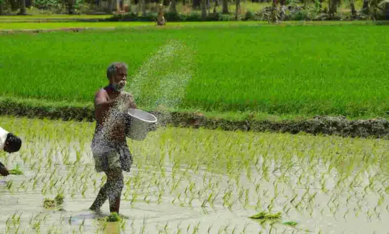 Pradhan Mantri Annadata Aay SanraksHan Abhiyan (PM-AASHA)