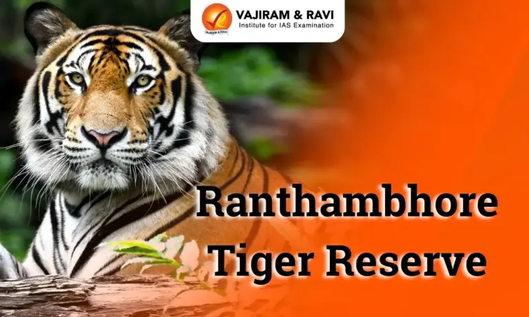 Ranthambore Tiger Reserve (RTR)