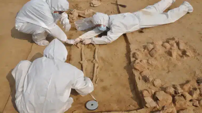 Relationship Between the Harappan and the Vedic Age