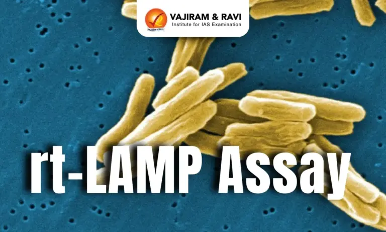 rt-LAMP Assay