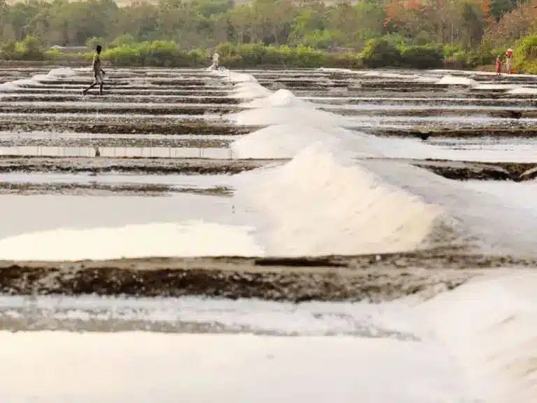 What are Salt Pan Lands?