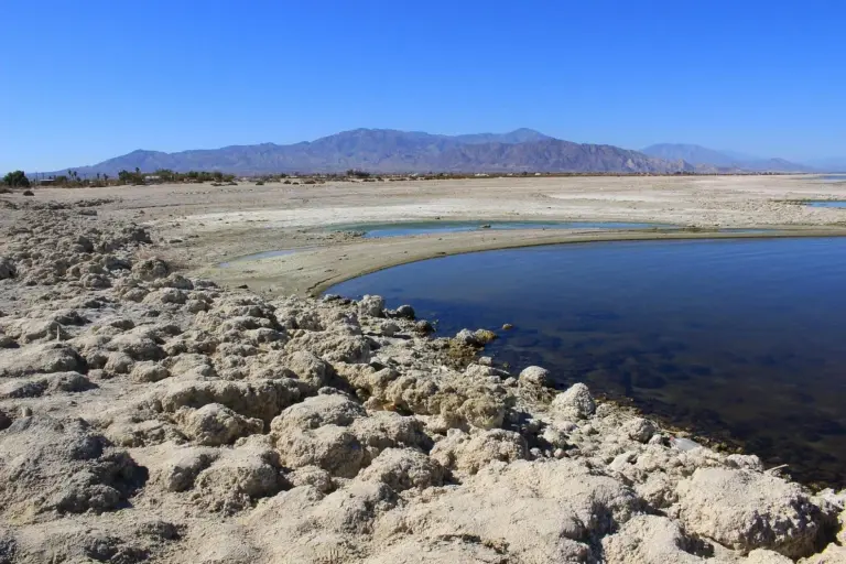 Key Facts about Salton Sea