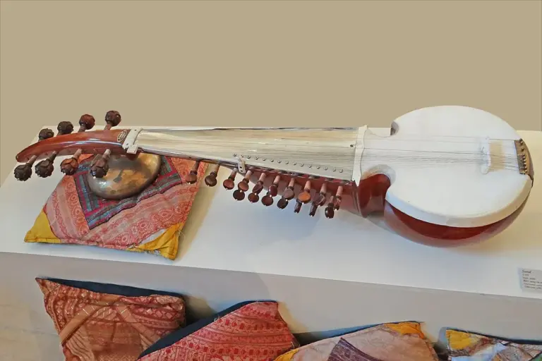 What is Sarod?