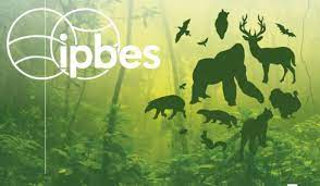 Intergovernmental Science-Policy Platform on Biodiversity and Ecosystem Services