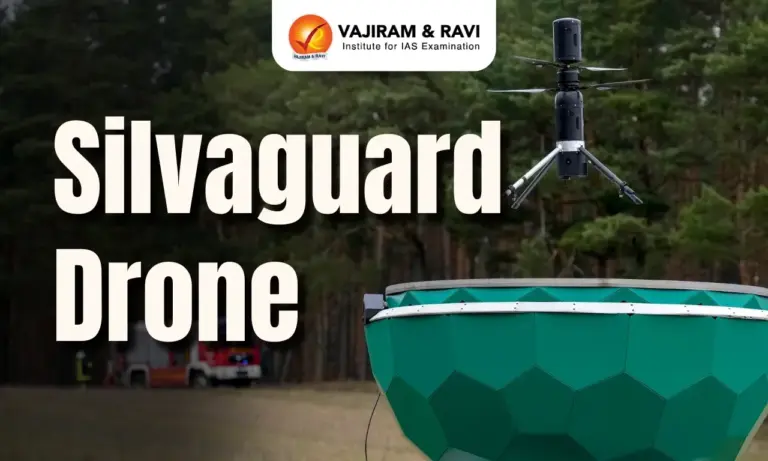 Silvaguard Drone