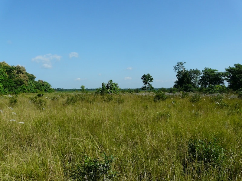 Sohagi Barwa Wildlife Sanctuary