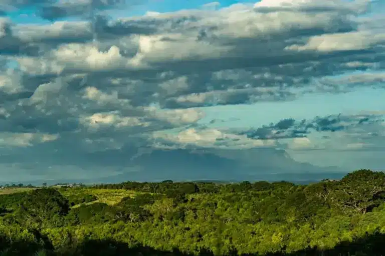 South East Africa Montane Archipelago (SEAMA)