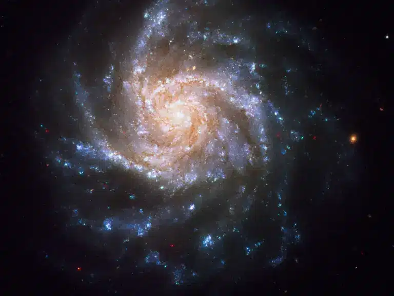 What is a Spiral Galaxy?