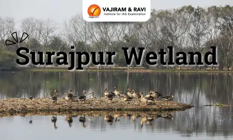 Surajpur Wetland