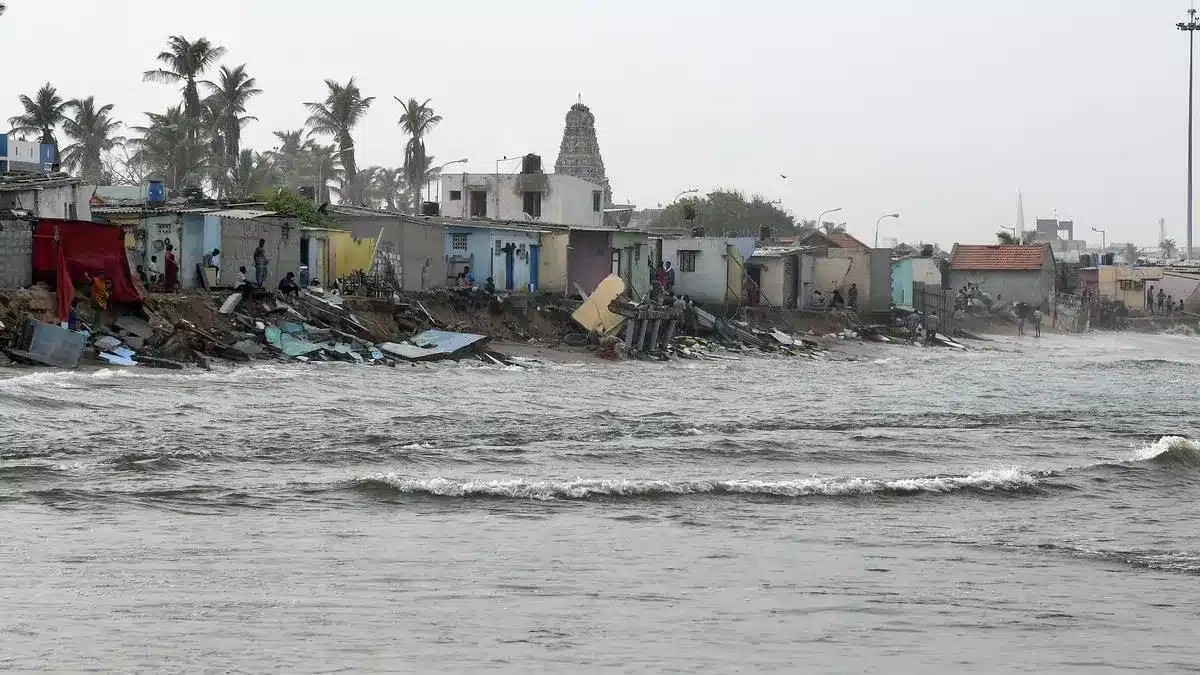 What are Swell waves?