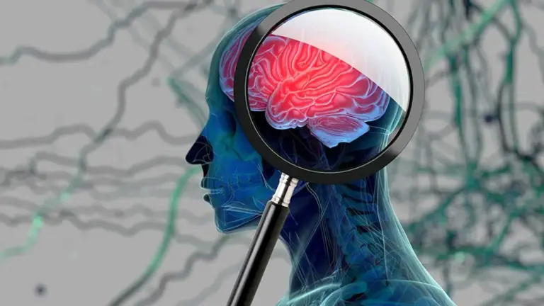 What are Synuclein alpha (SNCA) proteins?