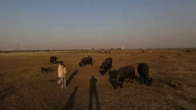 Thematic Report on Rangelands and Pastoralists by UNCCD