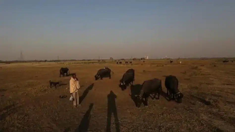 Thematic Report on Rangelands and Pastoralists by UNCCD