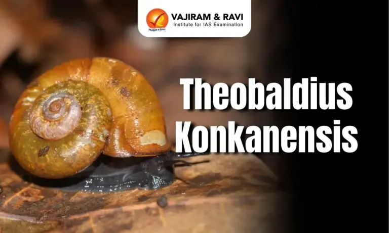 Theobaldius konkanensis