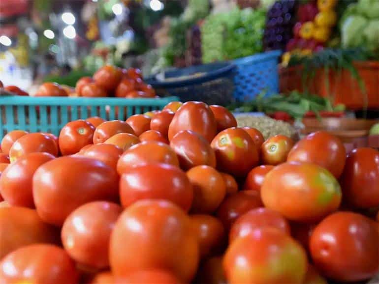 Tomato-nomics: Issues with Current Tomato Prices in India