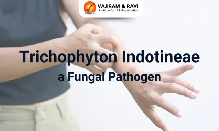 Trichophyton Indotineae