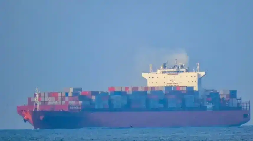 Vizhinjam Port Welcomes Its First Mothership: A New Era for India's Deepwater Transshipment Hub