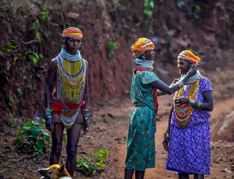 Housing for Vulnerable Tribal Groups