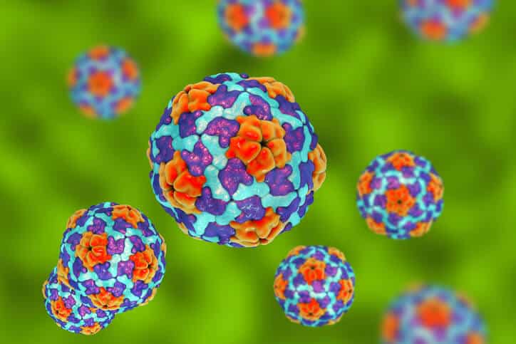 What are Enteroviruses?