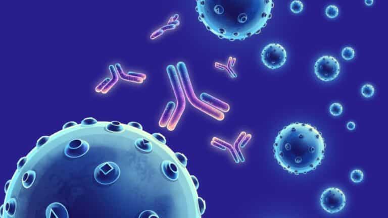 What are Monoclonal Antibodies?