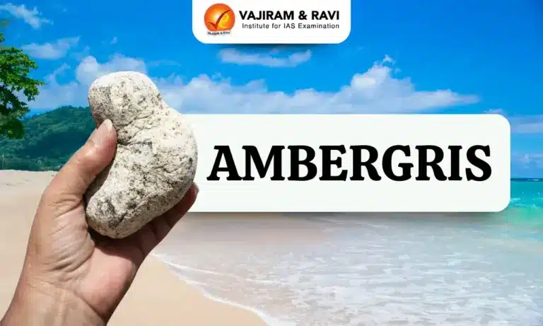 What is Ambergris?