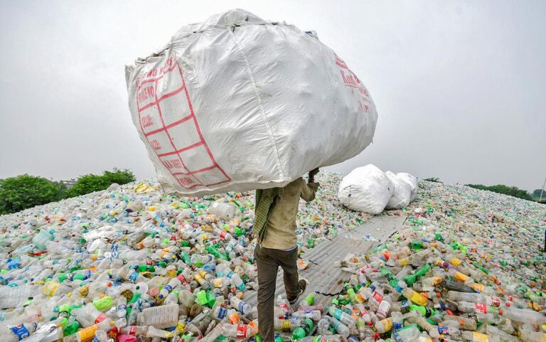 What is Biotransformation Technology?