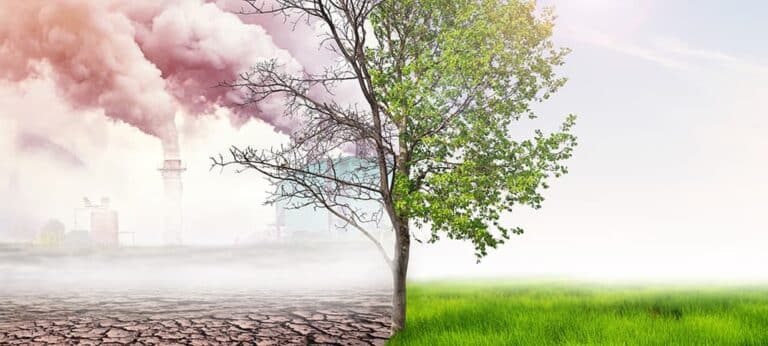 What is Greenwashing?