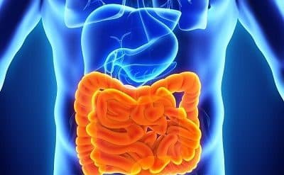 What is Inflammatory Bowel Disease (IBD)?