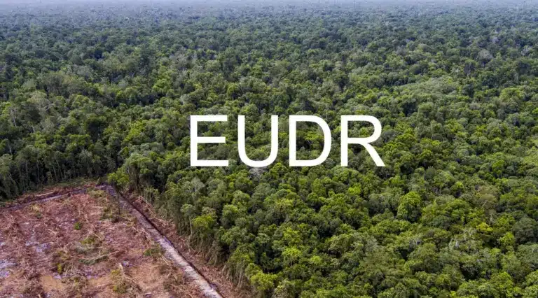 What is the European Union Deforestation Regulation (EUDR)?