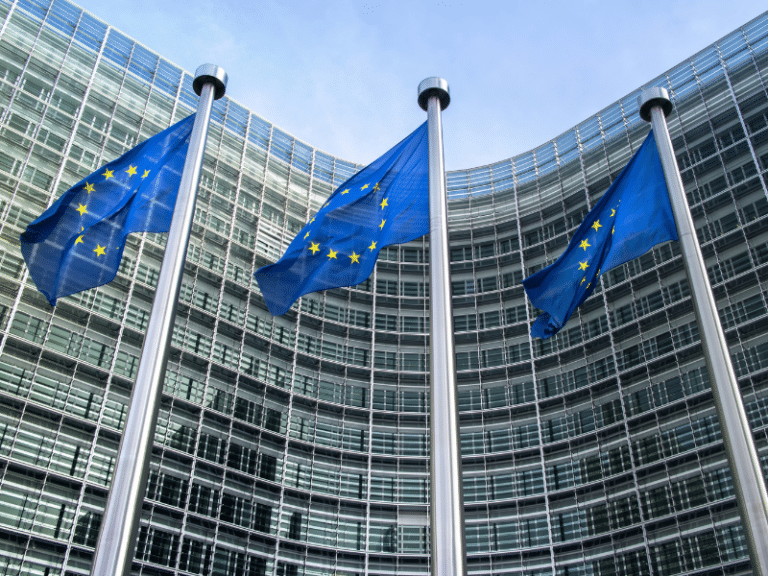 What is the European Union’s Foreign Subsidies Regulation (FSR)?