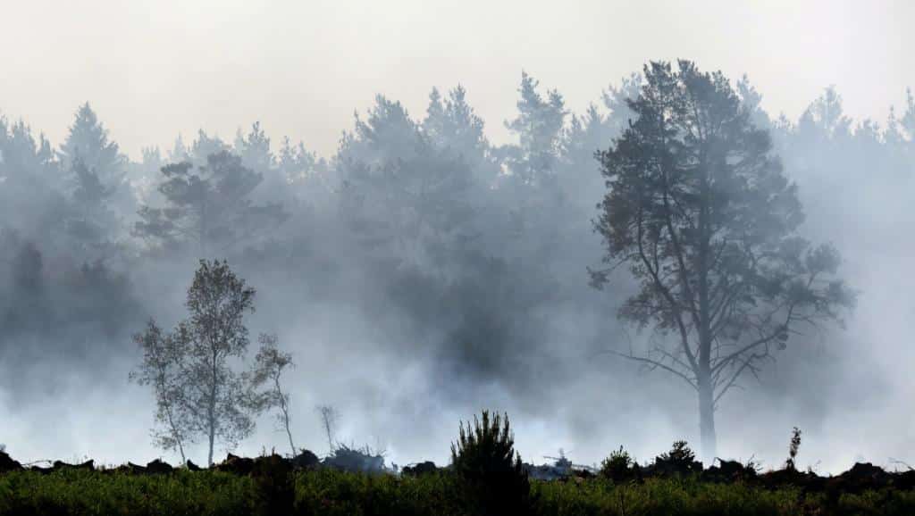 What is Zombie fire?