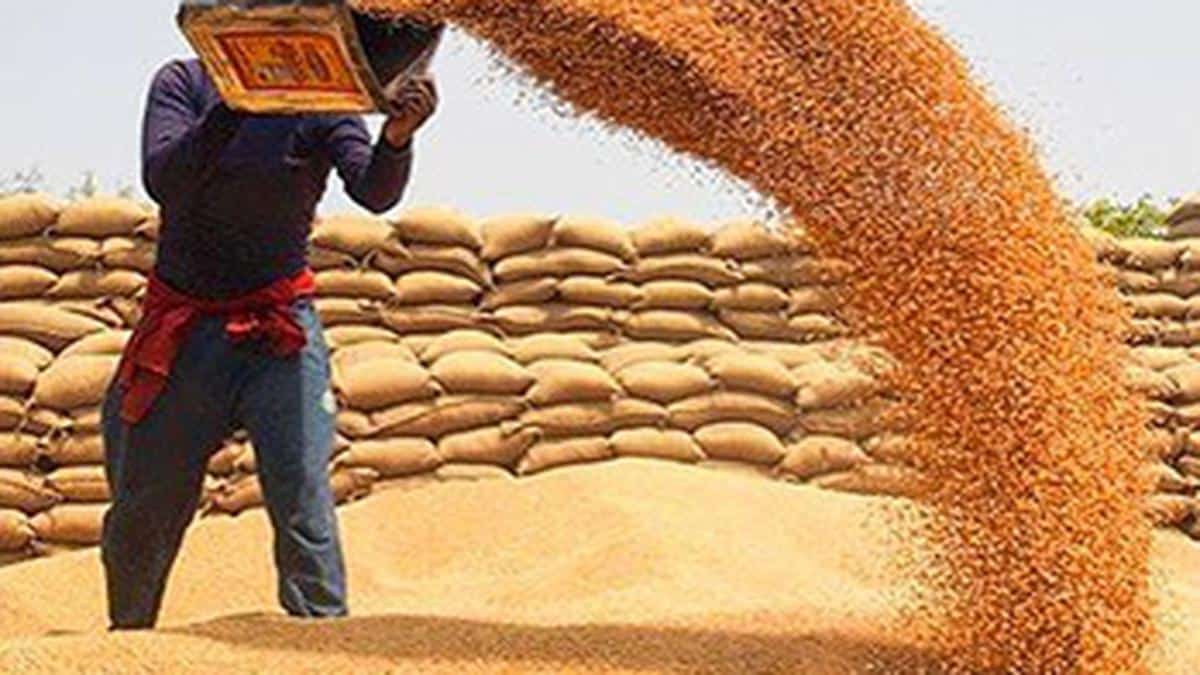 Govt further cuts Wheat Stock limits, bans Onion Exports until March 2024