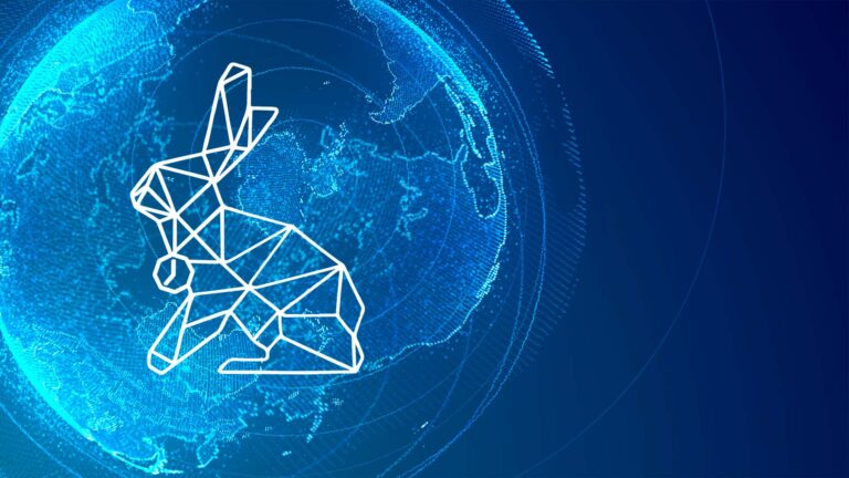 What is White Rabbit Collaboration?