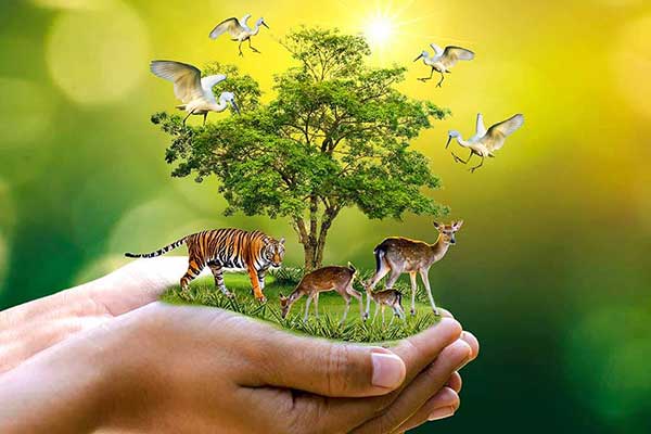 Wild Life (Protection) Amendment, 2022