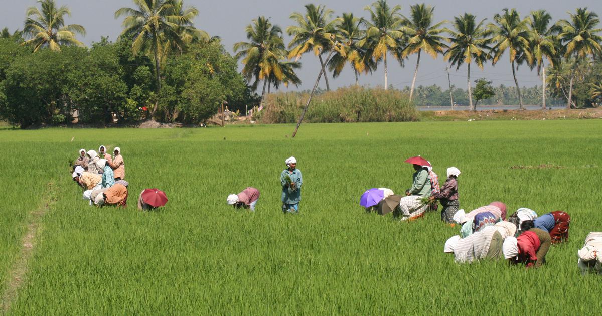 What is the Weather Information Network Data Systems (WINDS) portal?