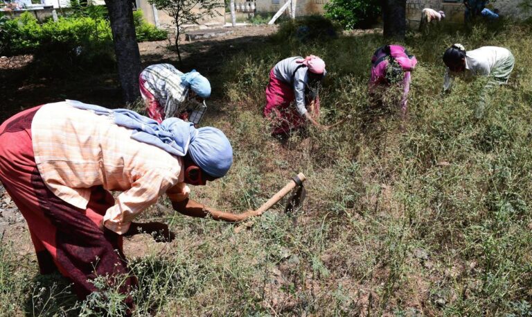 Women, Business and the Law Report