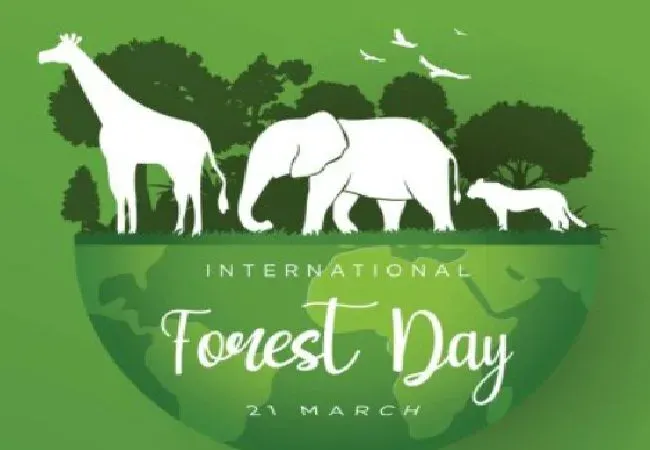 World Forest Day