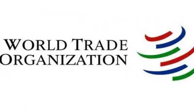 WTO Dispute Settlement Body: Revival Faces Delays over Country Differences
