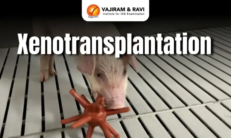 Xenotransplantation