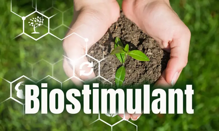 Biostimulant