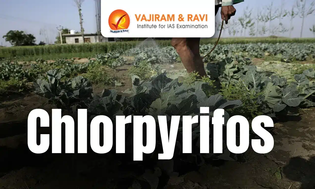 Chlorpyrifos